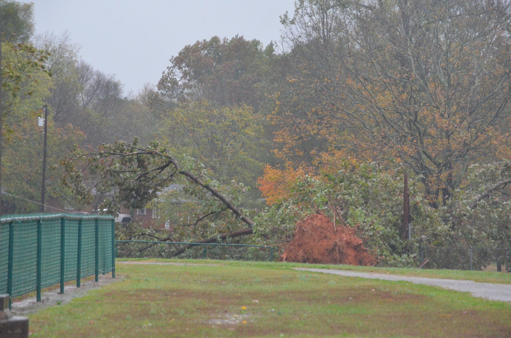 A tree near Central Elementary School is uprooted Thursday as the remnants of Hurricane Zeta came through Statesville.
